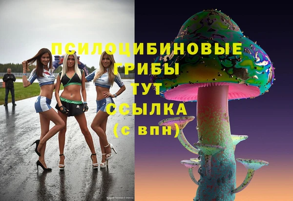 прущая мука Абаза