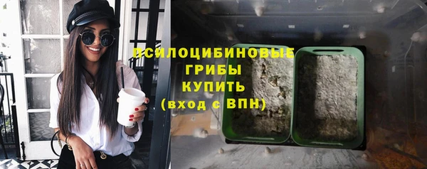 прущая мука Абаза